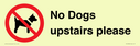 no-dogs-upstairs-please-~